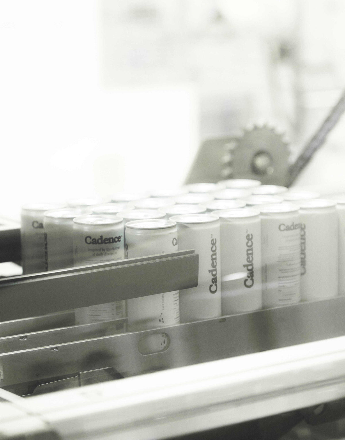 A Review of Supplement Safety