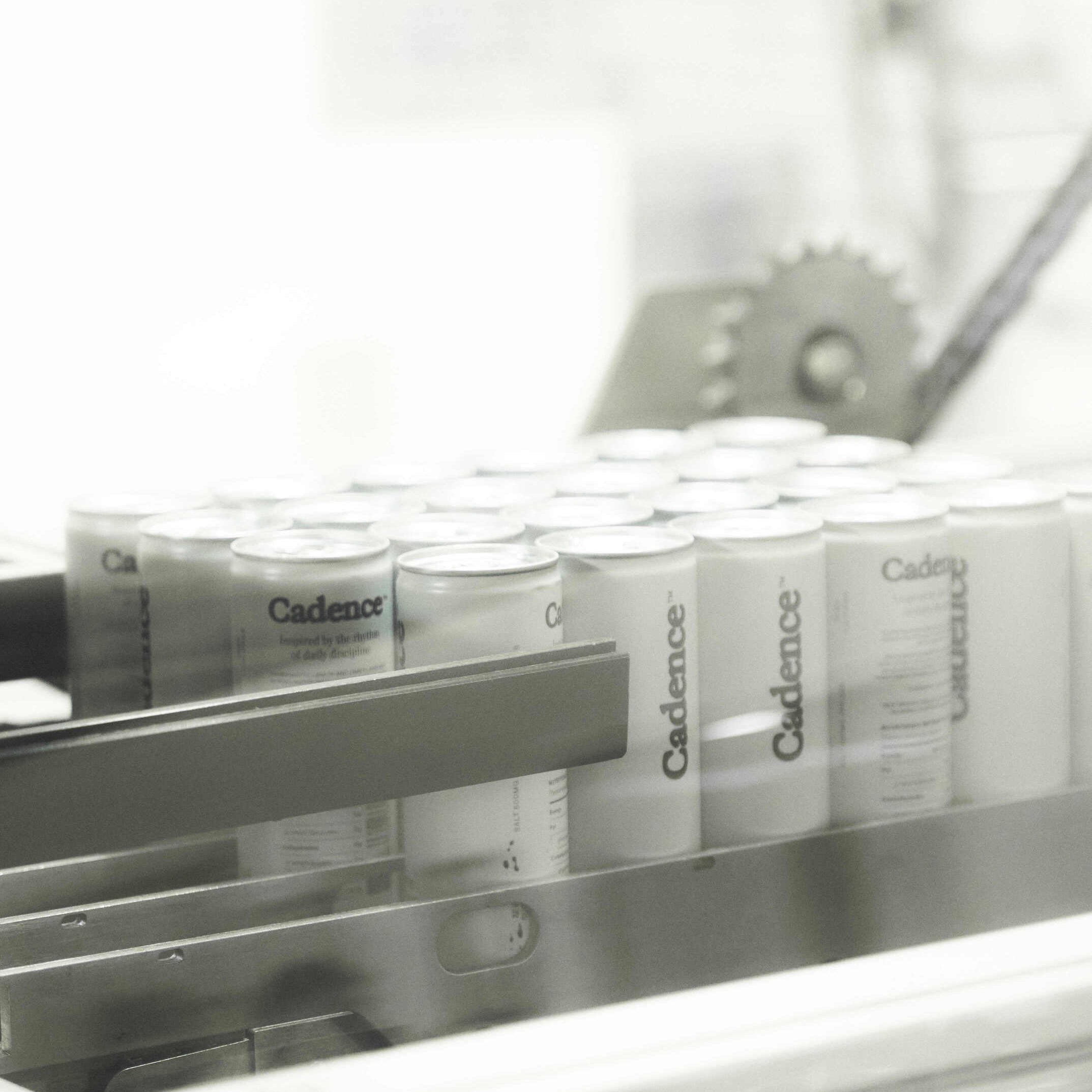 A Review of Supplement Safety