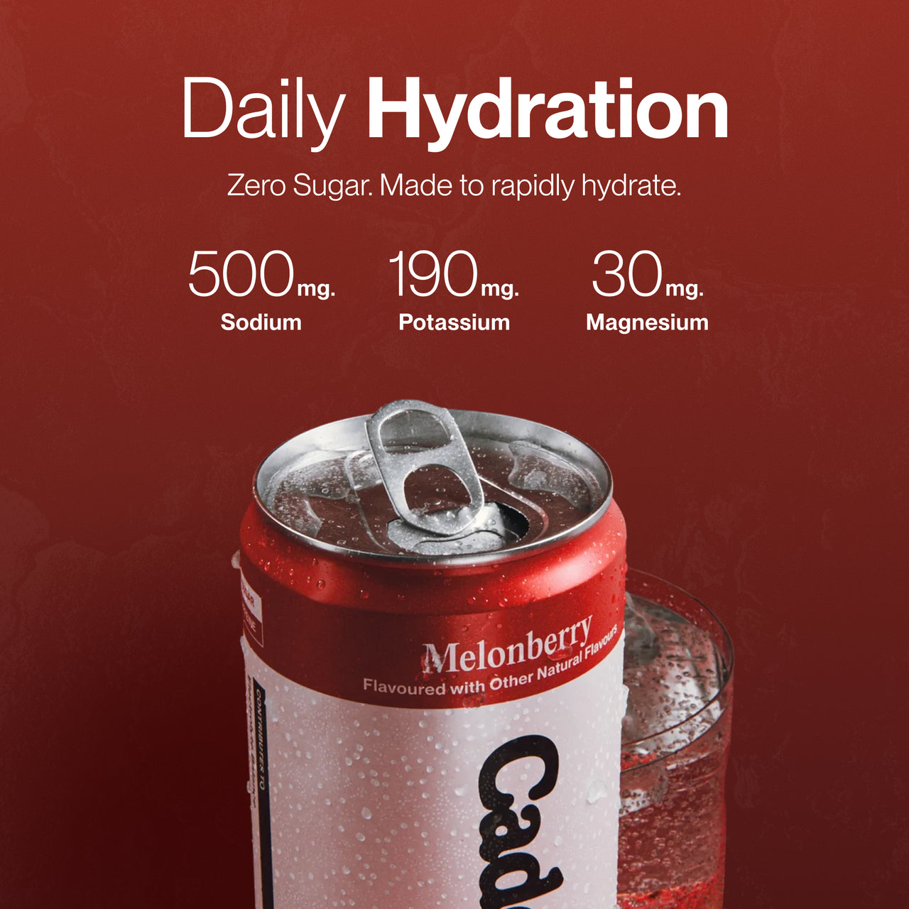 Starter Hydration System